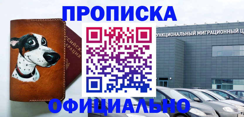 временная прописка в Котово